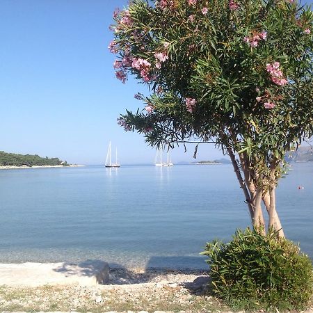 Apartment Biserka Cavtat Zimmer foto